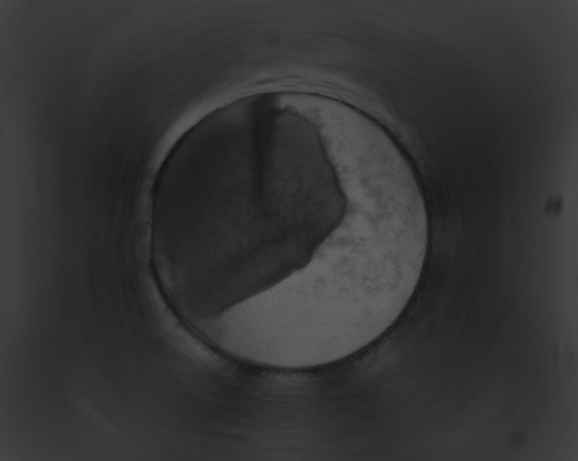 X0000091861522200710031030