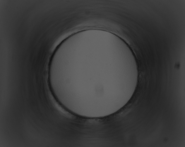 X0000091861523200710031030