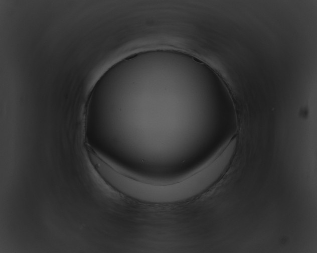 X0000091861524200710031030