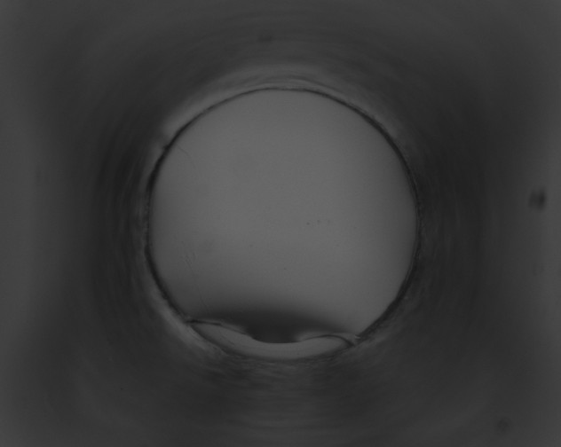 X0000091861526200710031030