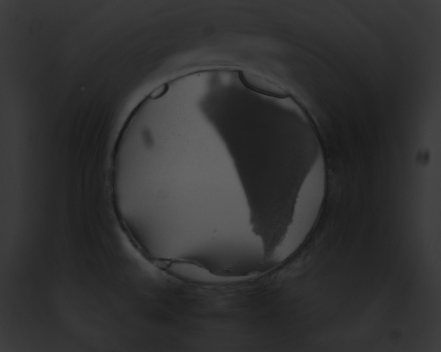 X0000091861527200710031030