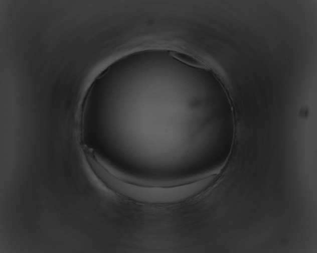 X0000091861528200710031030