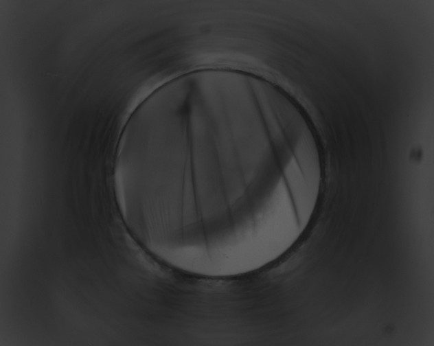 X0000091861529200710031030