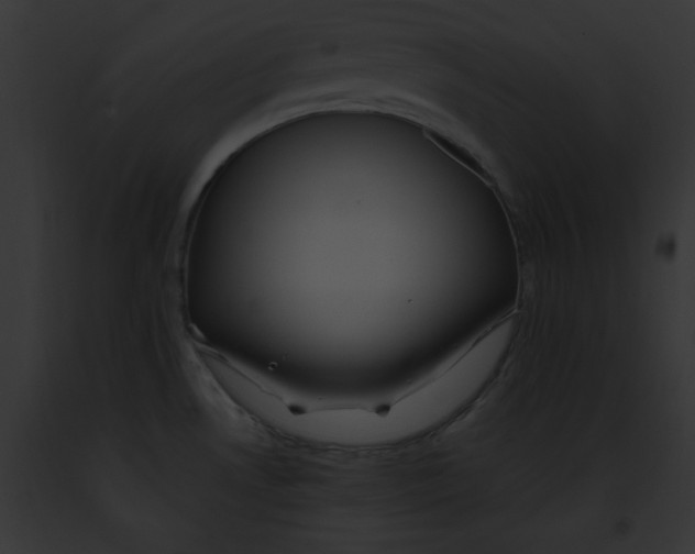 X0000091861530200710031030