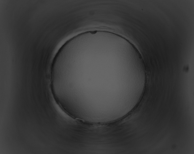 X0000091861531200710031030