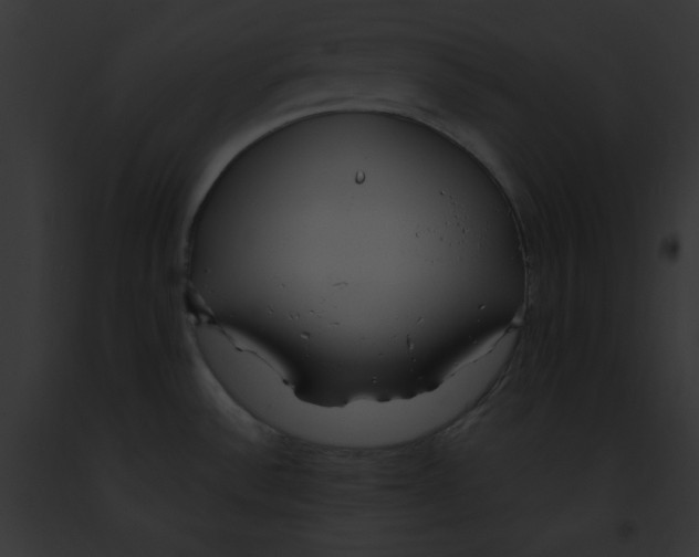 X0000091861532200710031030