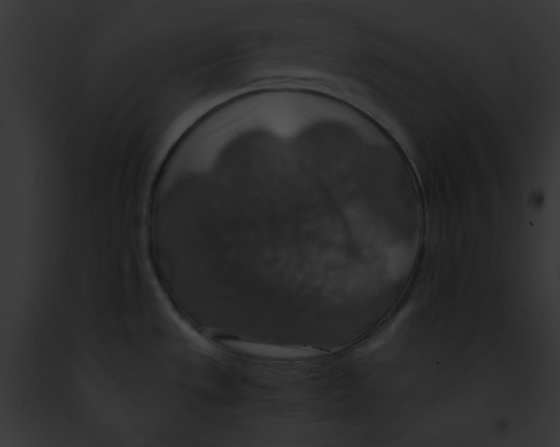 X0000091861533200710031030