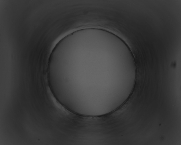 X0000091861534200710031030