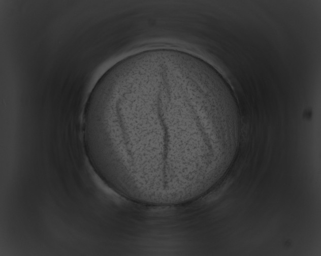 X0000091861535200710031030