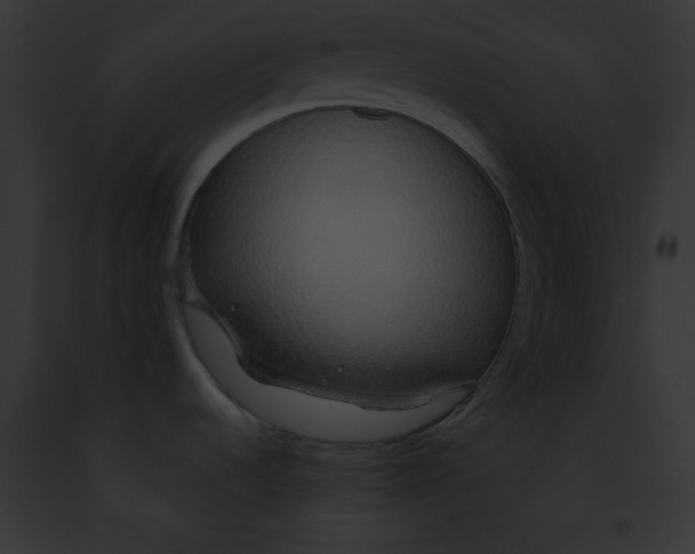 X0000091861536200710031030