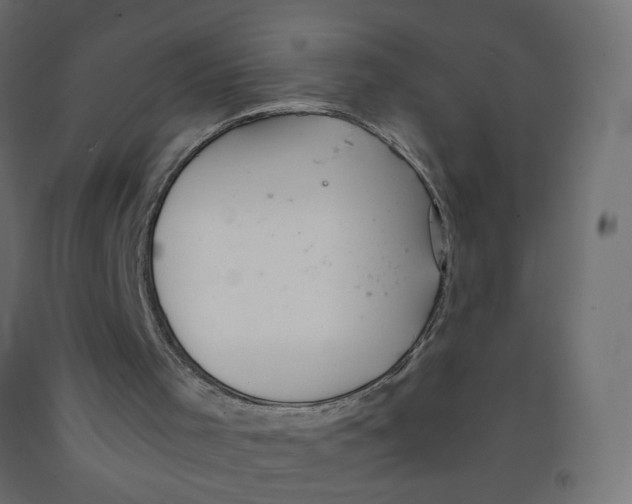 X0000091860001200710031711