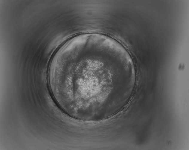 X0000091860002200710031711