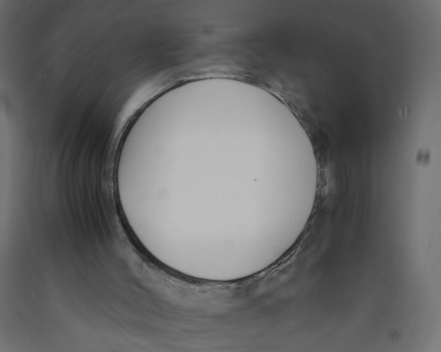 X0000091860004200710031711