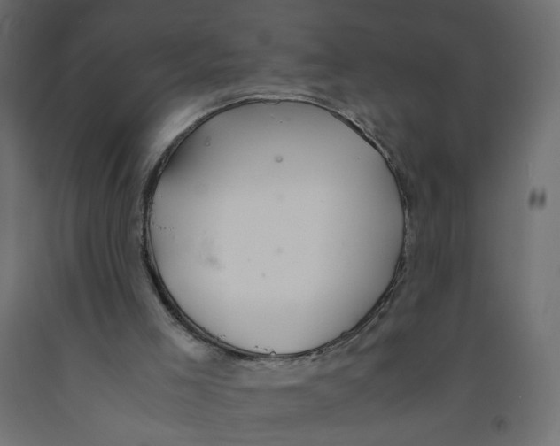 X0000091860005200710031711