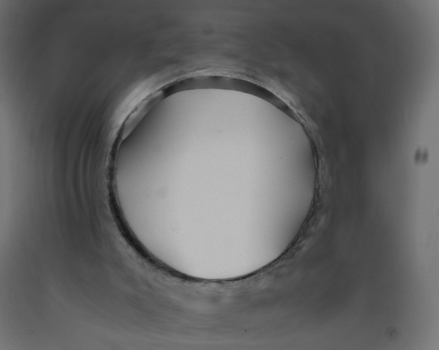 X0000091860007200710031711