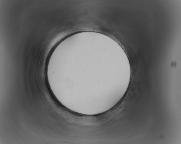 X0000091860008200710031711