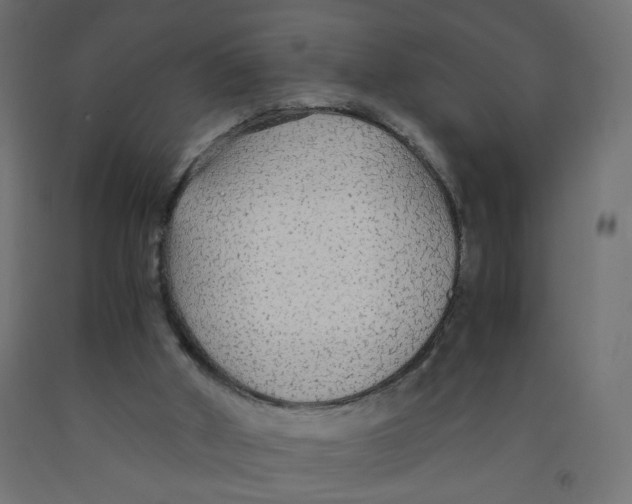 X0000091860010200710031711