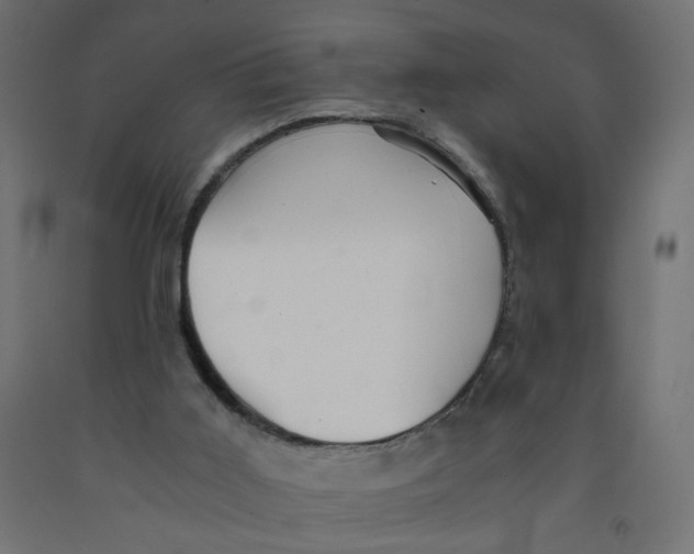 X0000091860011200710031711