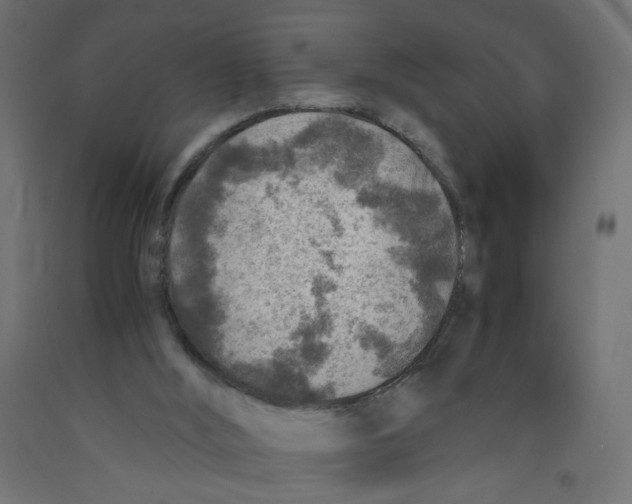 X0000091860012200710031711