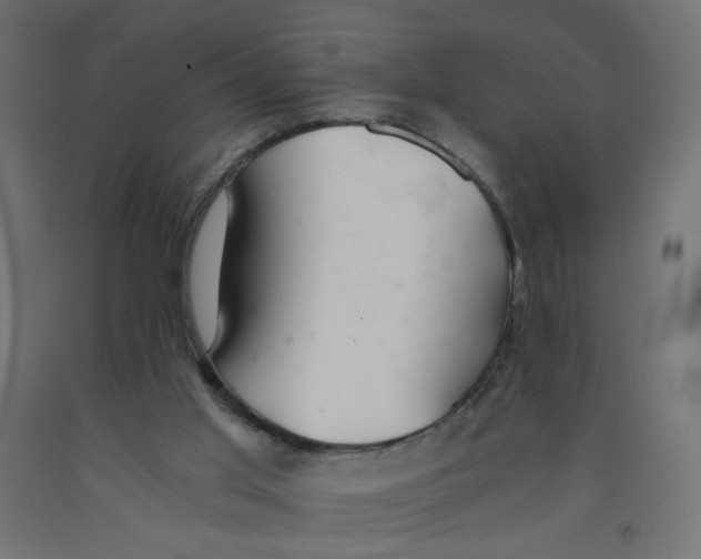 X0000091860013200710031711