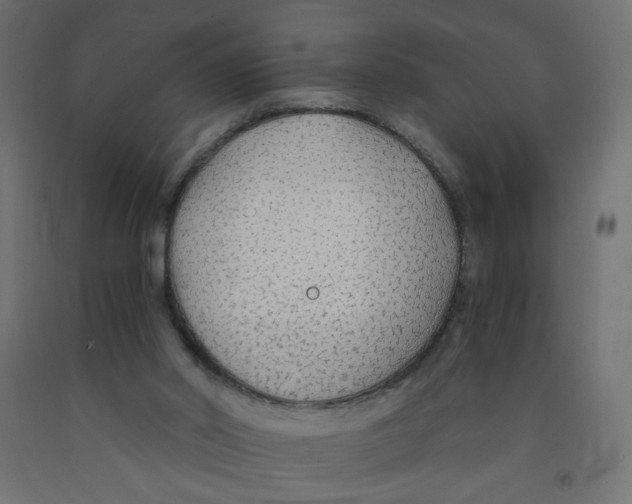 X0000091860014200710031711