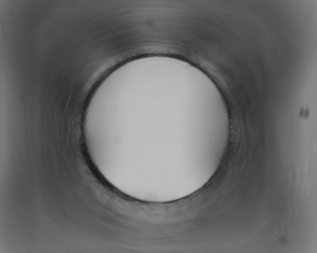 X0000091860015200710031711