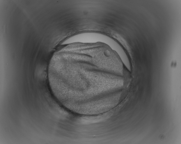 X0000091860017200710031710