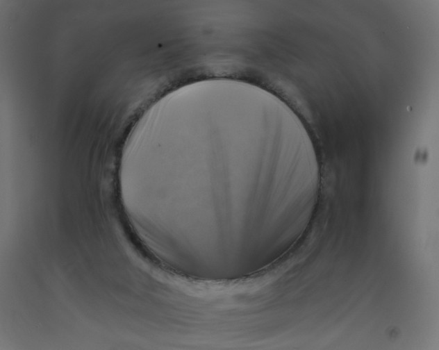 X0000091860018200710031710