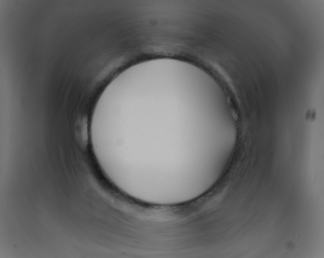 X0000091860020200710031710