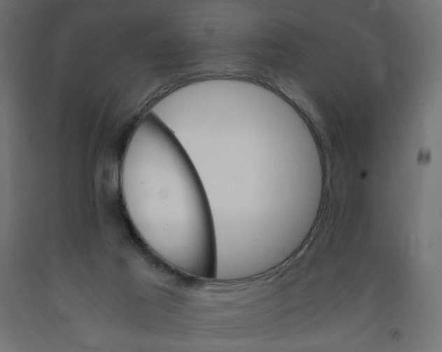 X0000091860021200710031710