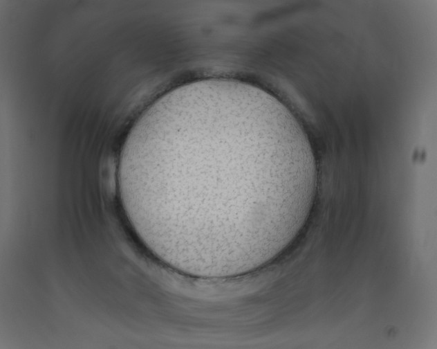 X0000091860022200710031710