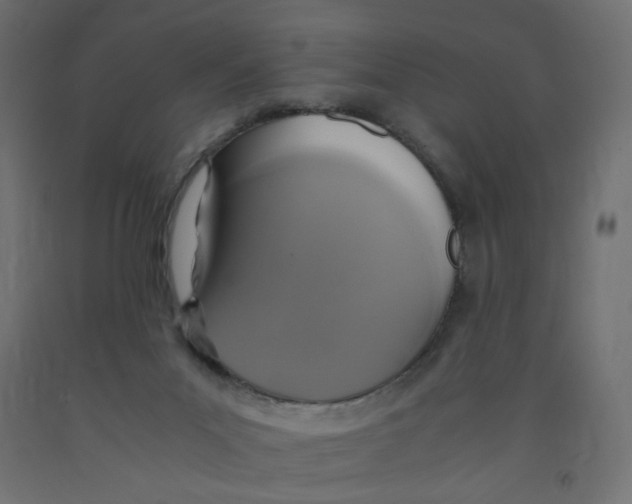 X0000091860023200710031710