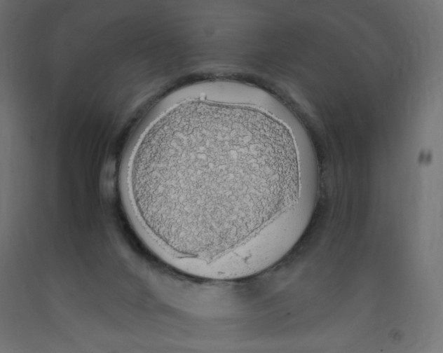 X0000091860024200710031710