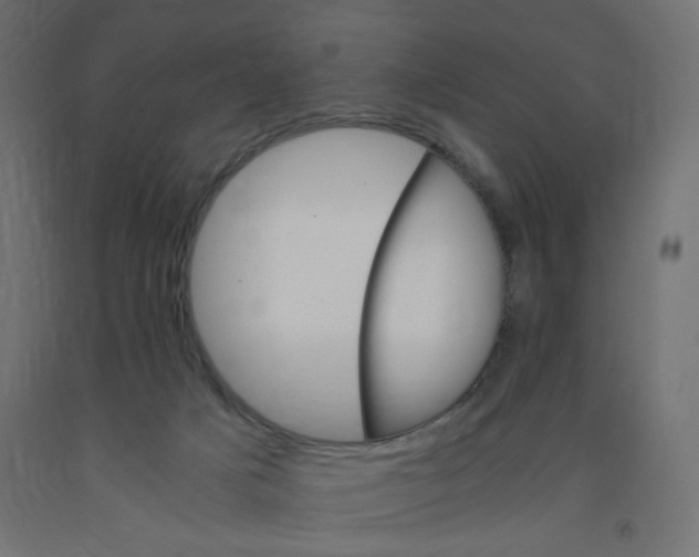 X0000091860025200710031710