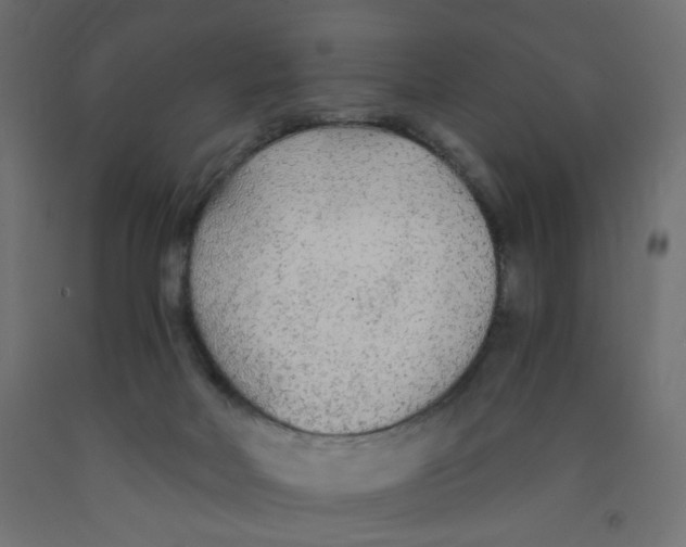 X0000091860026200710031710