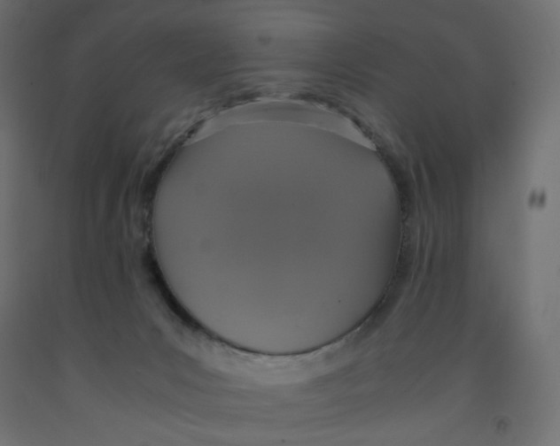 X0000091860031200710031710