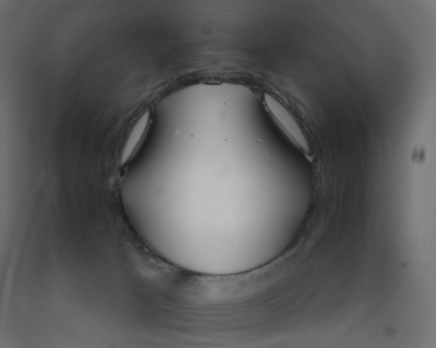 X0000091860033200710031710