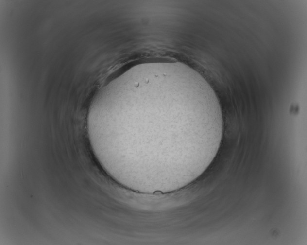 X0000091860034200710031710