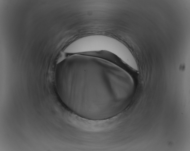 X0000091860035200710031710