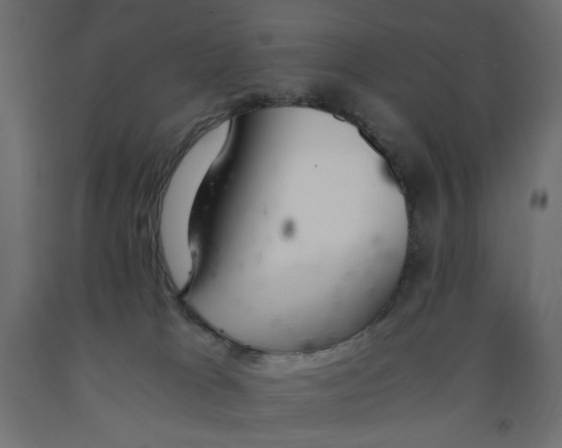 X0000091860037200710031710