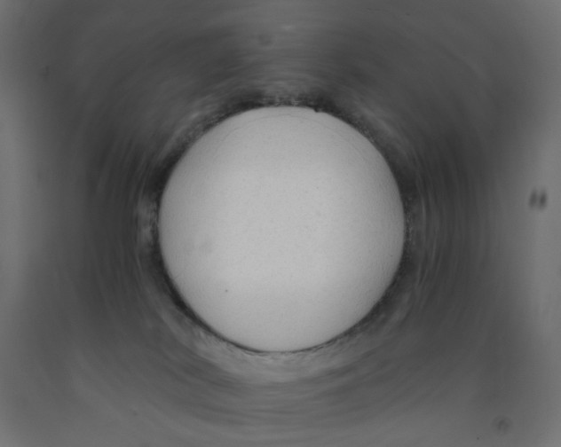 X0000091860038200710031710