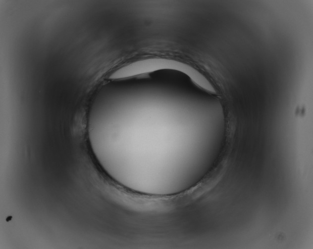 X0000091860040200710031710