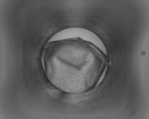 X0000091860041200710031710