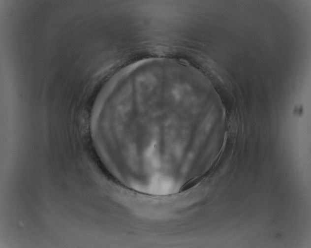 X0000091860043200710031710