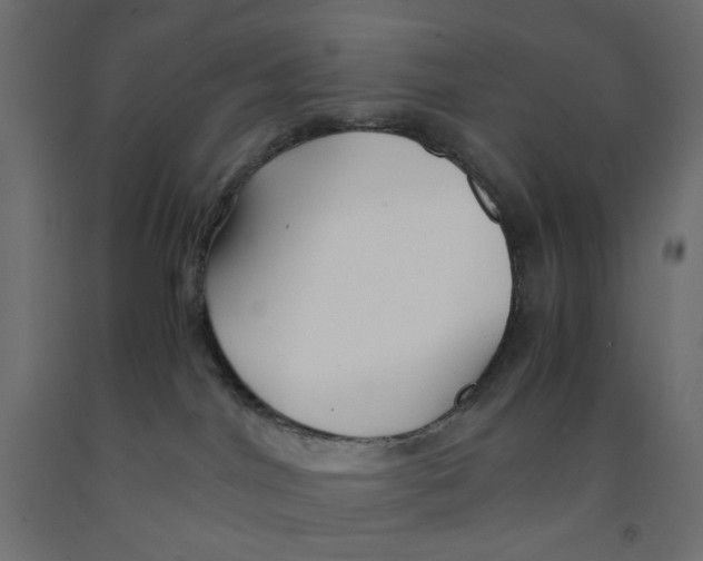 X0000091860044200710031710