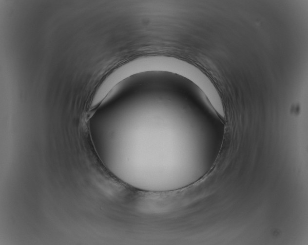 X0000091860045200710031710