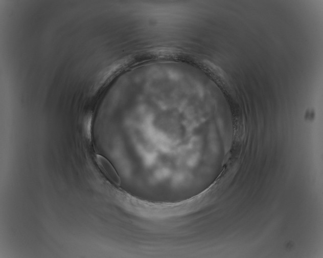 X0000091860047200710031710