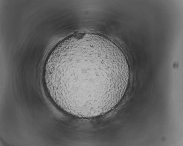 X0000091860049200710031709