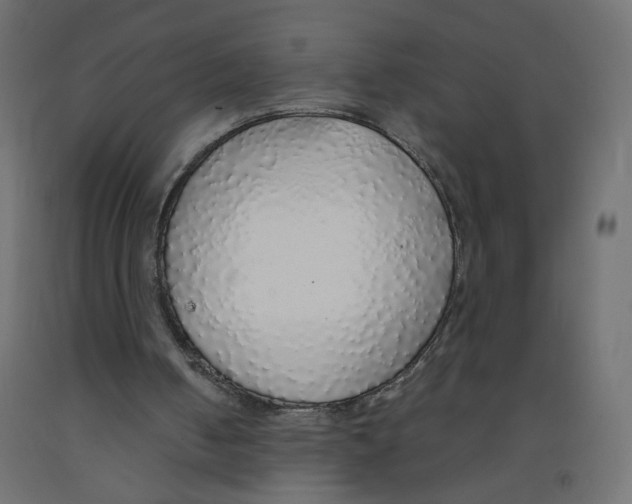 X0000091860050200710031709