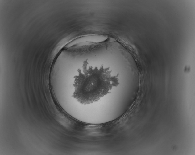 X0000091860051200710031709